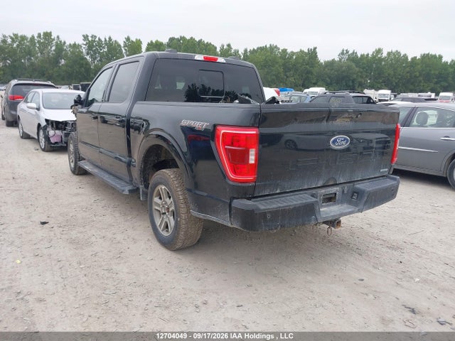 Продажа на аукционе авто 2023 Ford F150 Supercrew, vin: 1FTEW1EP1PFB56376, номер лота: 12704049