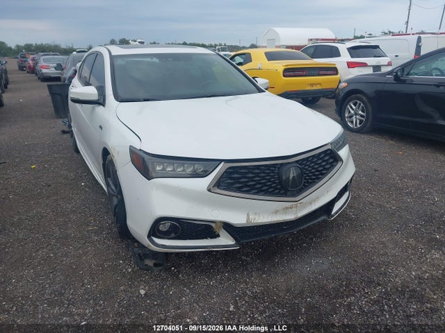 12704051 :رقم المزاد ، 19UUB3F65JA802081 vin ، 2018 Acura Tlx Tech A-spec مزاد بيع