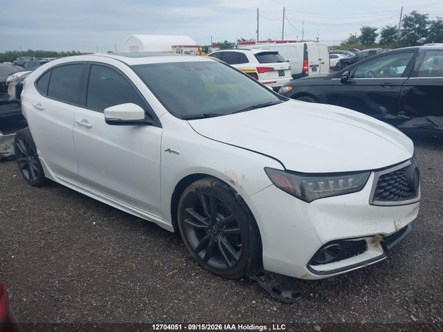 2018 Acura Tlx Tech A-spec მანქანა იყიდება აუქციონზე, vin: 19UUB3F65JA802081, აუქციონის ნომერი: 12704051