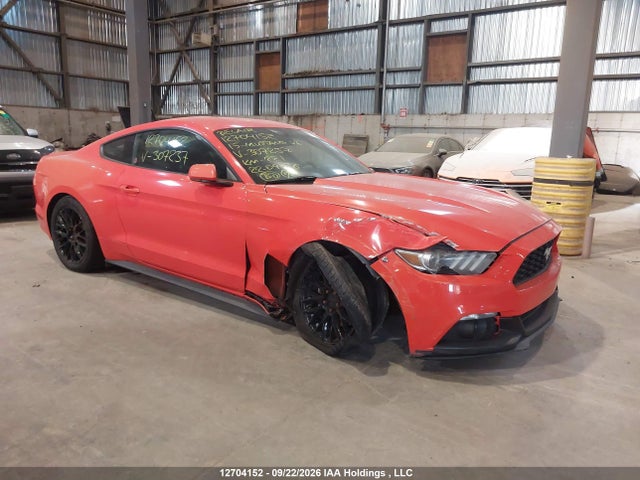 2015 1FA6P8AM9F5307237 главное изображение