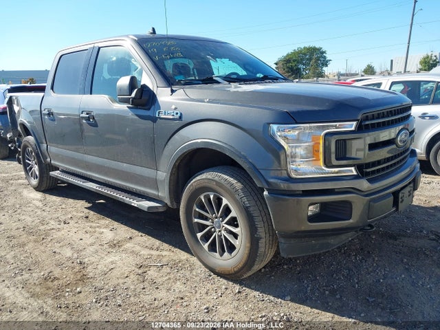 12704365 :رقم المزاد ، 1FTEW1EP6KKE01043 vin ، 2019 Ford F150 Supercrew مزاد بيع