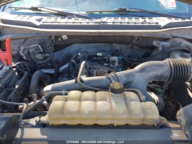 12704365 :رقم المزاد ، 1FTEW1EP6KKE01043 vin ، 2019 Ford F150 Supercrew مزاد بيع