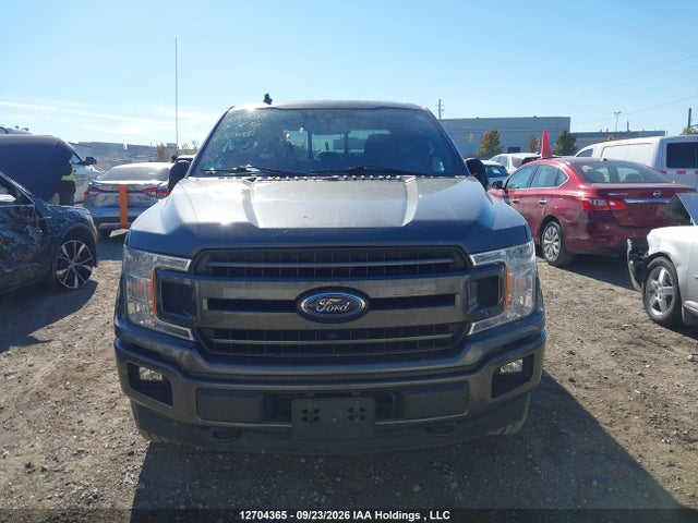 12704365 :رقم المزاد ، 1FTEW1EP6KKE01043 vin ، 2019 Ford F150 Supercrew مزاد بيع
