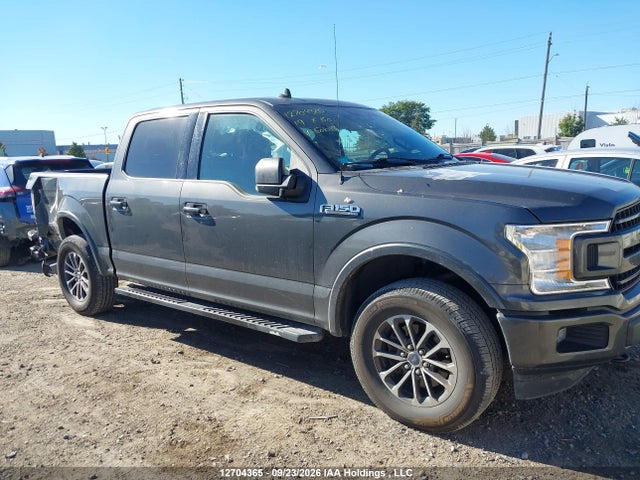 12704365 :رقم المزاد ، 1FTEW1EP6KKE01043 vin ، 2019 Ford F150 Supercrew مزاد بيع