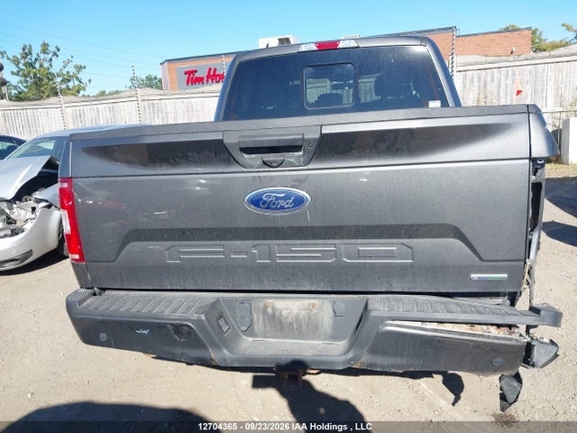 12704365 :رقم المزاد ، 1FTEW1EP6KKE01043 vin ، 2019 Ford F150 Supercrew مزاد بيع
