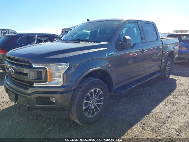 12704365 :رقم المزاد ، 1FTEW1EP6KKE01043 vin ، 2019 Ford F150 Supercrew مزاد بيع