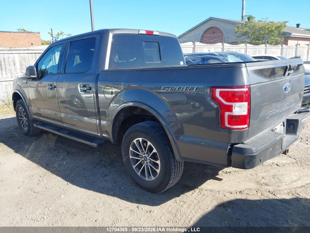 12704365 :رقم المزاد ، 1FTEW1EP6KKE01043 vin ، 2019 Ford F150 Supercrew مزاد بيع