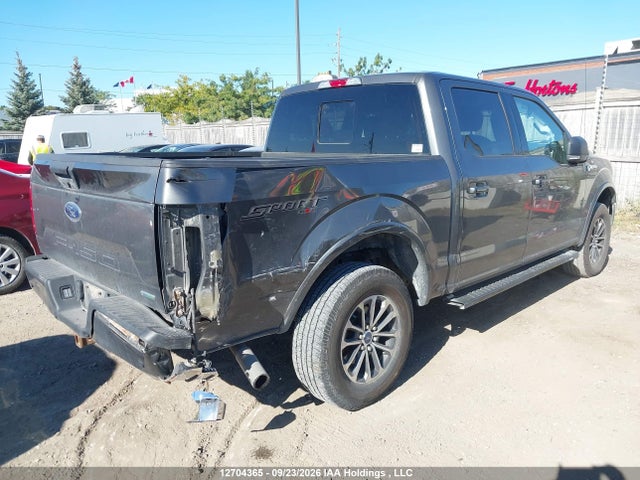 12704365 :رقم المزاد ، 1FTEW1EP6KKE01043 vin ، 2019 Ford F150 Supercrew مزاد بيع