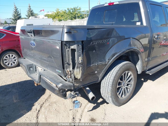 12704365 :رقم المزاد ، 1FTEW1EP6KKE01043 vin ، 2019 Ford F150 Supercrew مزاد بيع