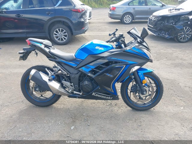 Kawasaki Ex300 B 2015 JKAEX8B16FDA19981 Image 13