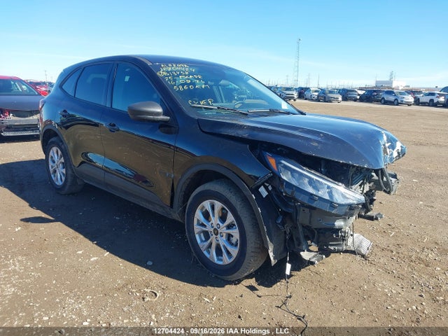 Продажа на аукционе авто 2025 Ford Escape Active, vin: 1FMCU9GN3SUB13438, номер лота: 12704424