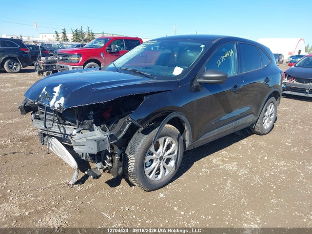 12704424 :رقم المزاد ، 1FMCU9GN3SUB13438 vin ، 2025 Ford Escape Active مزاد بيع