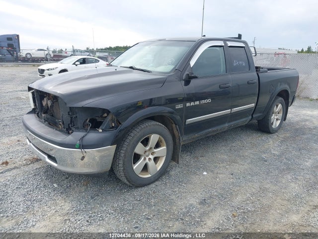 Продажа на аукционе авто 2011 Dodge Ram 1500, vin: 1D7RV1GT5BS646114, номер лота: 12704436