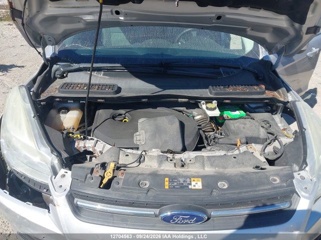 Продаж на аукціоні авто 2014 Ford Escape Se, vin: 1FMCU0GX5EUD12444, номер лоту: 12704563