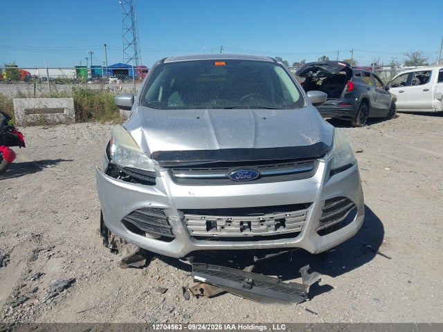 Продаж на аукціоні авто 2014 Ford Escape Se, vin: 1FMCU0GX5EUD12444, номер лоту: 12704563
