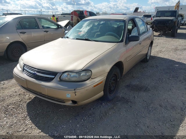 Продаж на аукціоні авто 2002 Chevrolet Malibu, vin: 1G1ND52J62M699121, номер лоту: 12704598