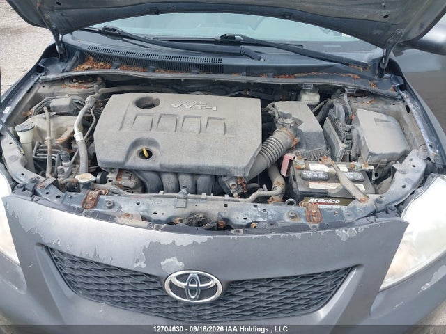 12704630 :رقم المزاد ، 2T1BU4EE6AC303901 vin ، 2010 Toyota Corolla S/le/xle مزاد بيع
