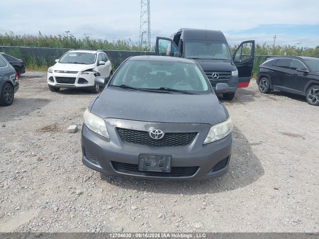 12704630 :رقم المزاد ، 2T1BU4EE6AC303901 vin ، 2010 Toyota Corolla S/le/xle مزاد بيع