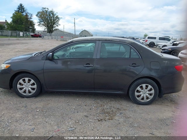 12704630 :رقم المزاد ، 2T1BU4EE6AC303901 vin ، 2010 Toyota Corolla S/le/xle مزاد بيع
