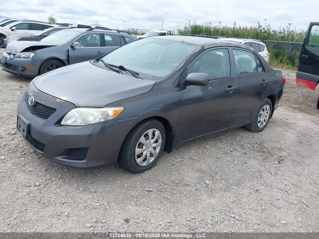 12704630 :رقم المزاد ، 2T1BU4EE6AC303901 vin ، 2010 Toyota Corolla S/le/xle مزاد بيع