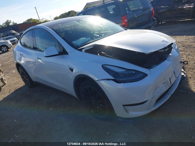 12704634 :رقم المزاد ، 7SAYGDEE8PF593907 vin ، 2023 Tesla Model Y Long Range مزاد بيع