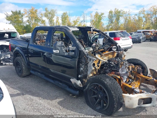 Продажа на аукционе авто 2019 Ford F-150 Xlt, vin: 1FTEW1E49KFC33753, номер лота: 12704724