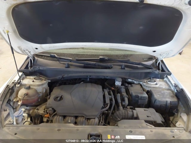 Продаж на аукціоні авто 2024 Kia Sportage Lx/x-line, vin: KNDPUCDF4R7252650, номер лоту: 12704813