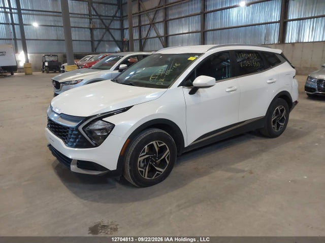 Продаж на аукціоні авто 2024 Kia Sportage Lx/x-line, vin: KNDPUCDF4R7252650, номер лоту: 12704813