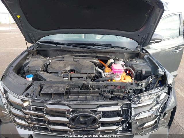 Продажа на аукционе авто 2026 Hyundai Tucson Ultimate Hybrid Awd, vin: KM8JCDD10TU453646, номер лота: 12705025
