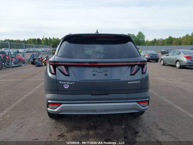 Продажа на аукционе авто 2026 Hyundai Tucson Ultimate Hybrid Awd, vin: KM8JCDD10TU453646, номер лота: 12705025