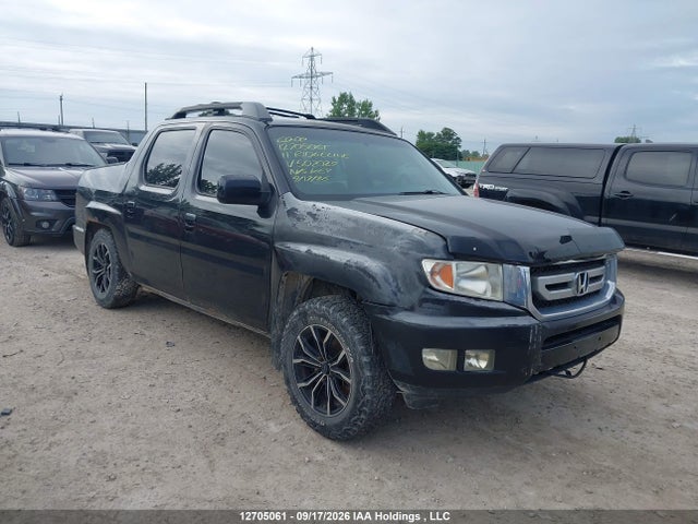 Auction sale of the 2011 Honda Ridgeline Rtl, vin: 5FPYK1F5XBB502029, lot number: 12705061