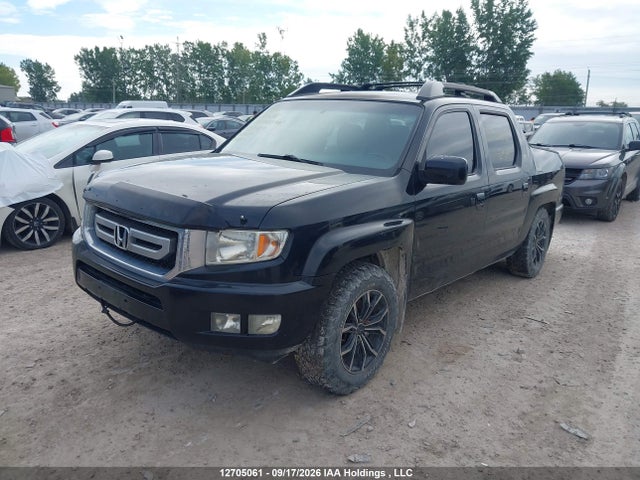 2011 Honda Ridgeline Rtl მანქანა იყიდება აუქციონზე, vin: 5FPYK1F5XBB502029, აუქციონის ნომერი: 12705061