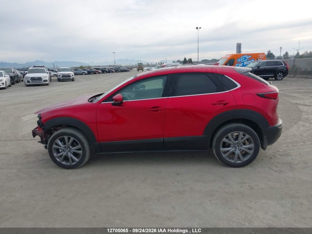 Mazda Cx-30 Premium 2025 3MVDMBDM5SM827716 Image 15