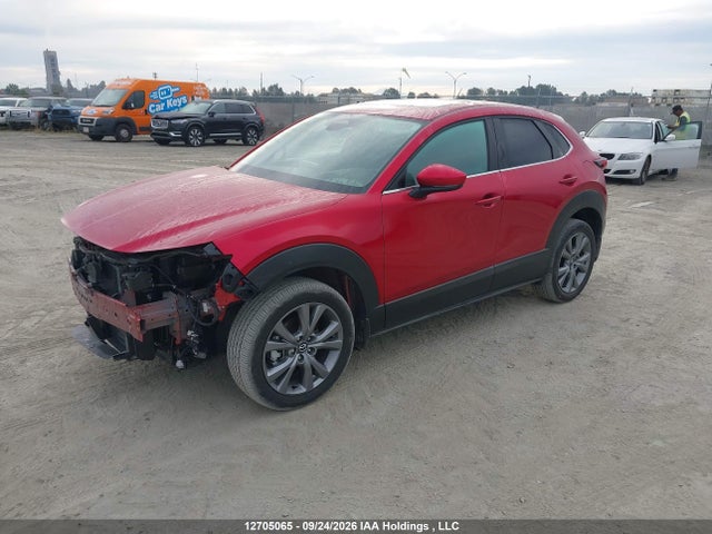 Mazda Cx-30 Premium 2025 3MVDMBDM5SM827716 Image 2