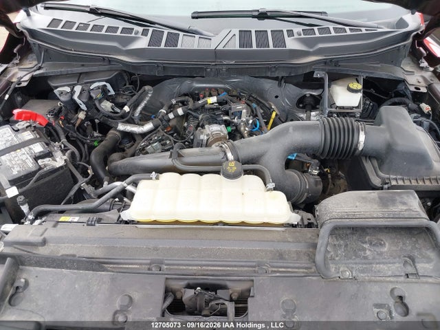 Ford F-150 Stx 2024 1FTEW2LP8RKE61733 Image 10