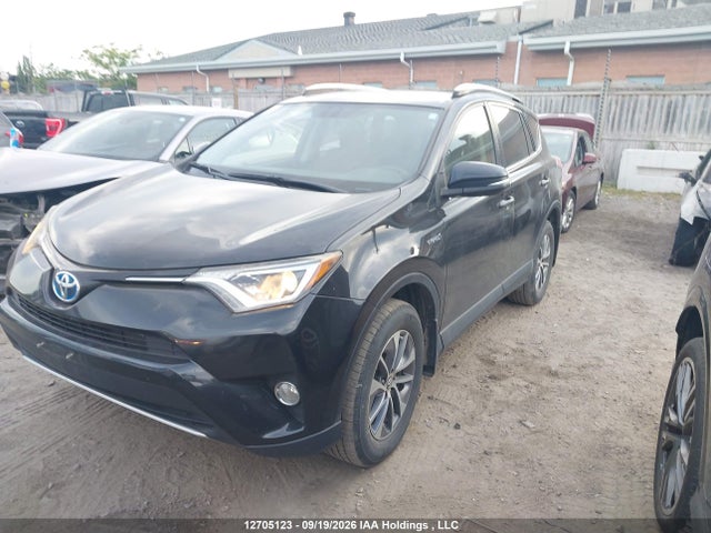 Aukcja sprzedaży 2016 Toyota Rav4 Hv Xle, vin: JTMRJREV8GD019086, numer aukcji: 12705123