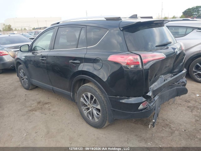 Aukcja sprzedaży 2016 Toyota Rav4 Hv Xle, vin: JTMRJREV8GD019086, numer aukcji: 12705123