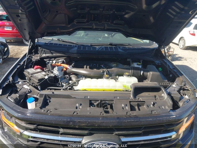 Aukcja sprzedaży 2026 Ford F150 Xlt, vin: 1FTFW3LD3TFB61243, numer aukcji: 12705184