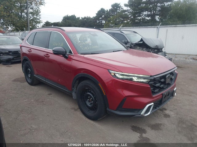 2024 2HKRS6H94RH204808 главное изображение