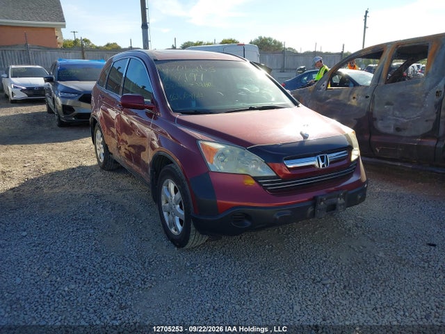 2008 Honda Cr-v Ex-l მანქანა იყიდება აუქციონზე, vin: 5J6RE487X8L807194, აუქციონის ნომერი: 12705253
