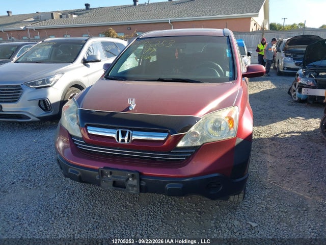 2008 Honda Cr-v Ex-l მანქანა იყიდება აუქციონზე, vin: 5J6RE487X8L807194, აუქციონის ნომერი: 12705253