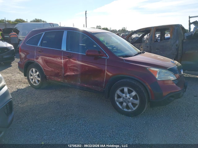 2008 Honda Cr-v Ex-l მანქანა იყიდება აუქციონზე, vin: 5J6RE487X8L807194, აუქციონის ნომერი: 12705253