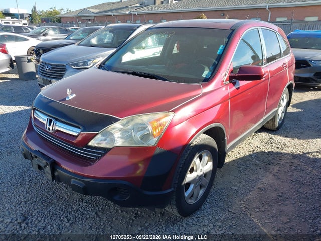 2008 Honda Cr-v Ex-l მანქანა იყიდება აუქციონზე, vin: 5J6RE487X8L807194, აუქციონის ნომერი: 12705253