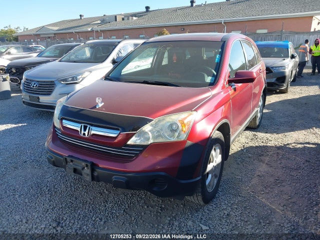 2008 Honda Cr-v Ex-l მანქანა იყიდება აუქციონზე, vin: 5J6RE487X8L807194, აუქციონის ნომერი: 12705253