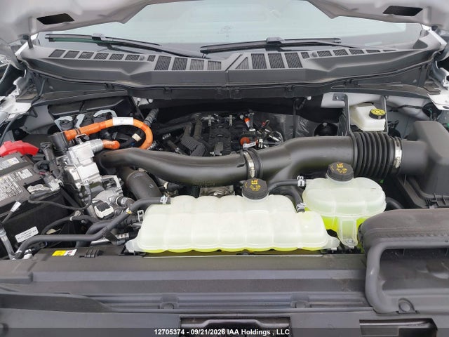 Продажа на аукционе авто 2026 Ford F150 Xlt, vin: 1FTFW3LDXTFB61899, номер лота: 12705374