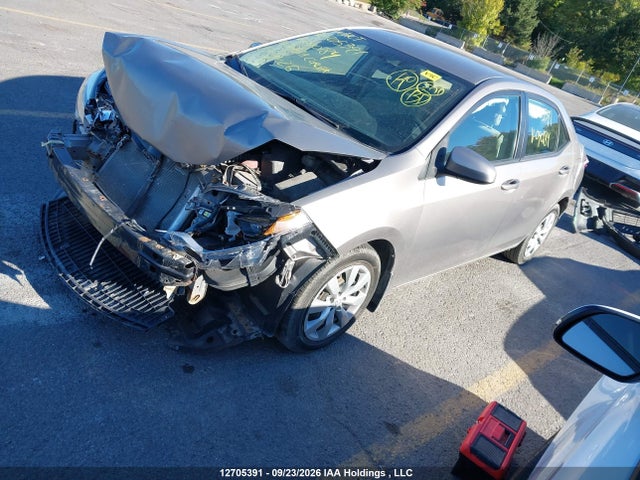 2T1BURHE2EC090184 Toyota Corolla
