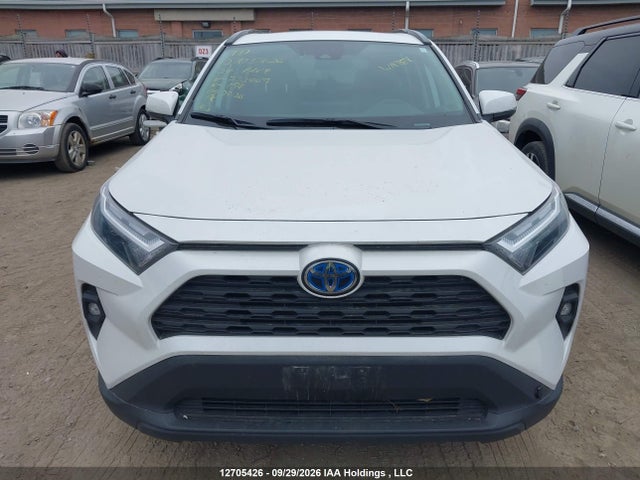 2T3RWRFV1RW233469 Toyota Rav4 Hybrid Xle