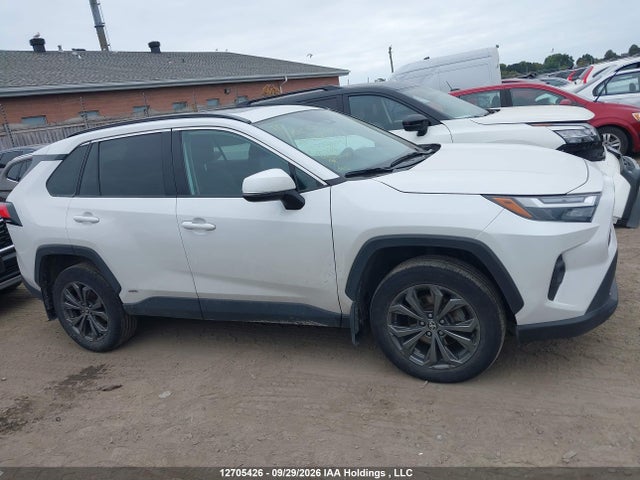 2T3RWRFV1RW233469 Toyota Rav4 Hybrid Xle