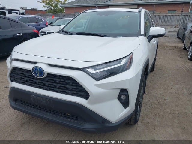 2T3RWRFV1RW233469 Toyota Rav4 Hybrid Xle