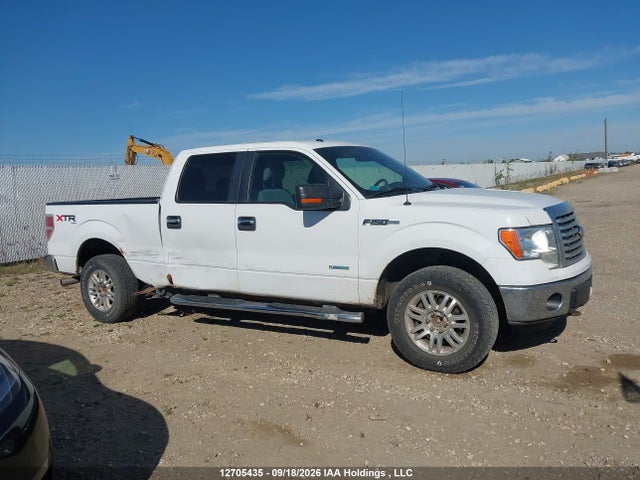 12705435 :رقم المزاد ، 1FTFW1ET6BFD16407 vin ، 2011 Ford F-150 Fx4/king Ranch/lariat/platinum/xlt مزاد بيع